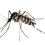 QM 滅蚊專家 Logo